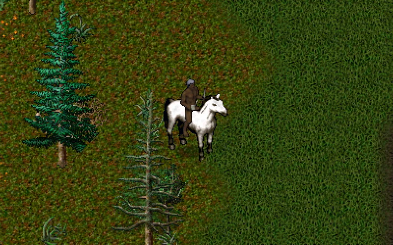 Un personaje montado en el caballo blanco Orden en un claro del bosque
