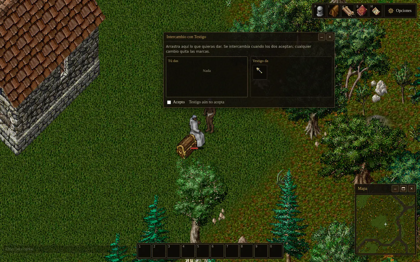 The trade window with another player: on the right the wand they offer, on the left what you give, still empty, and the Accept box